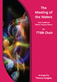 The Meeting of the Waters TTBB choral sheet music cover